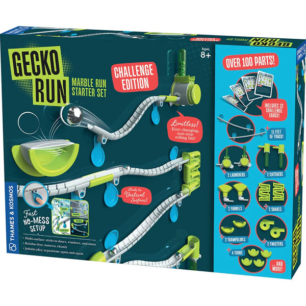 Gecko Run: Marble Run Challenge Edition – Birmingham Museums Trust